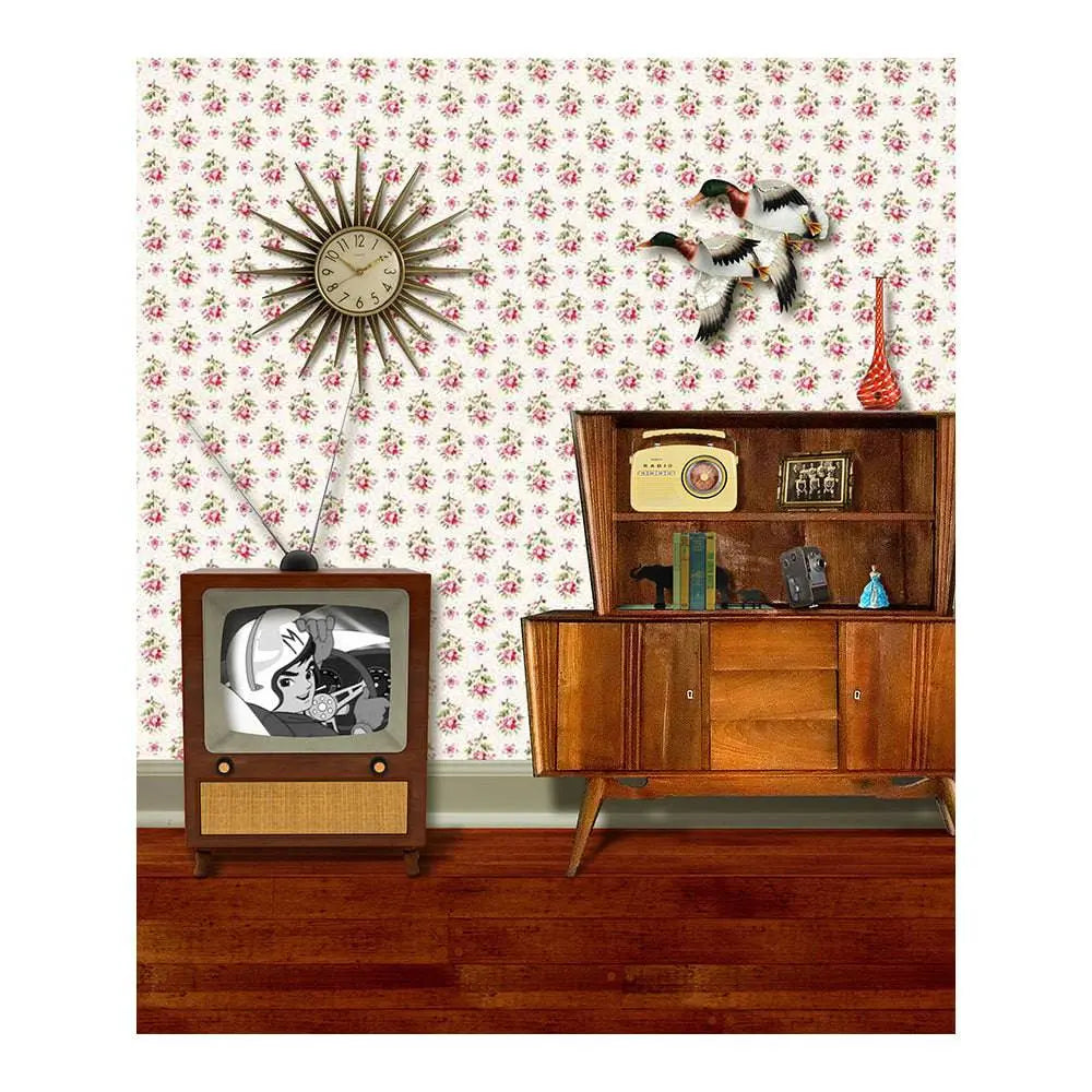 50's Living Room Photo Backdrop - Basic 5.5 x 6.5