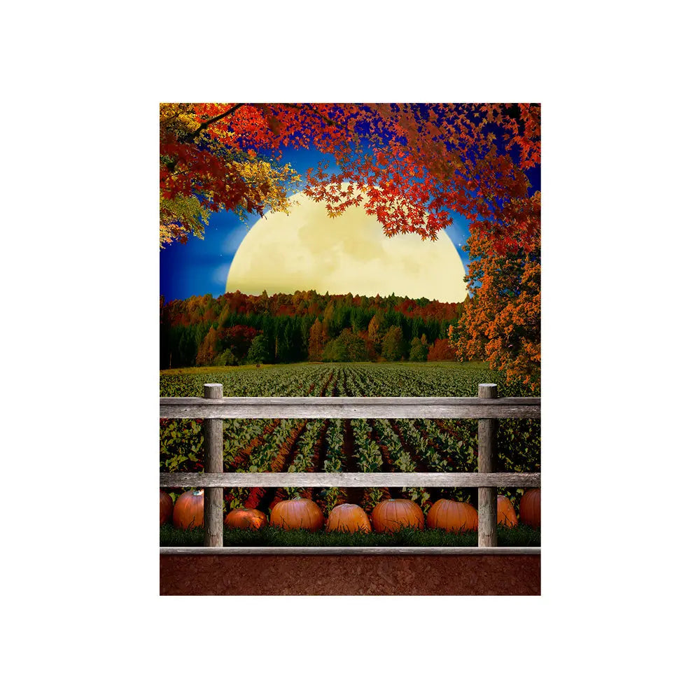 Pumpkin Patch Backdrop