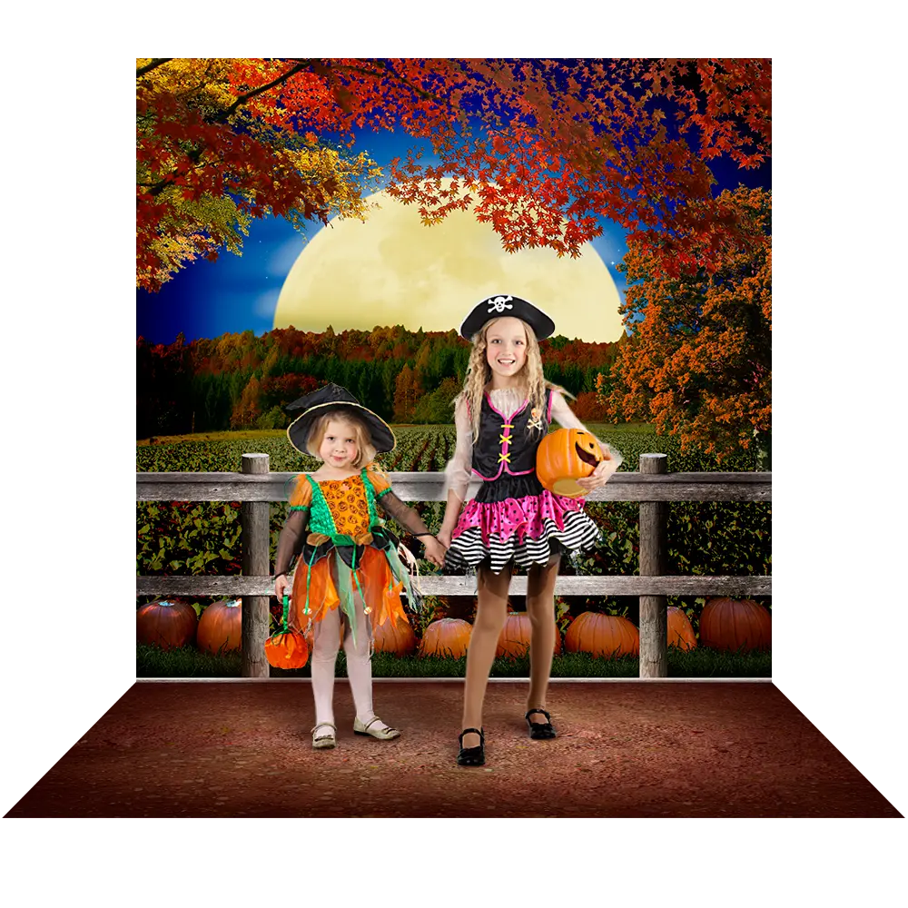 Pumpkin Patch Backdrop