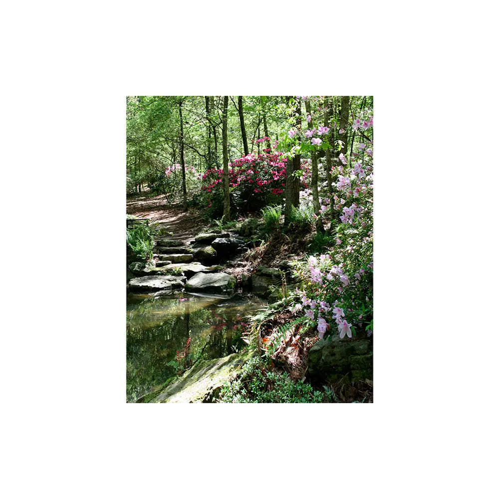 Azalea Pond Studio Backdrop, Background Alba Backgrounds