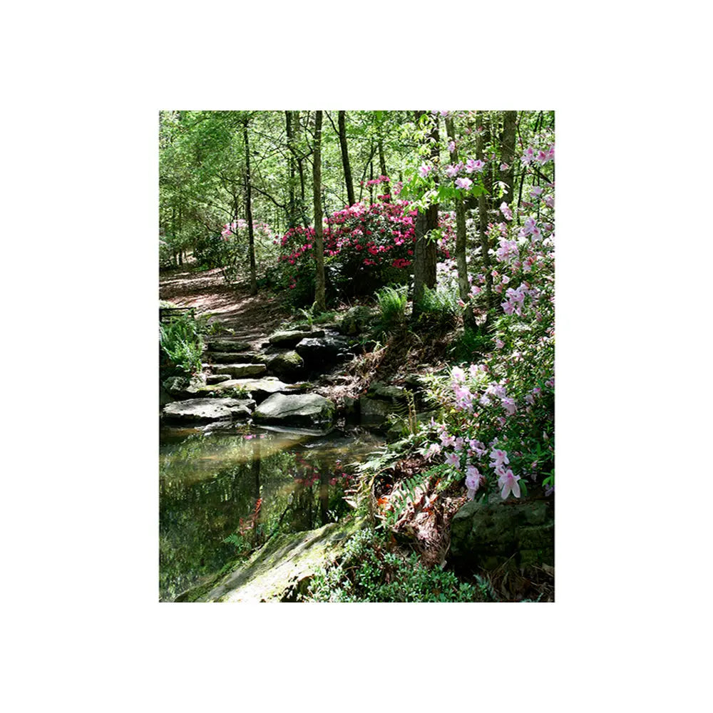 Azalea Pond Studio Backdrop, Background Alba Backgrounds