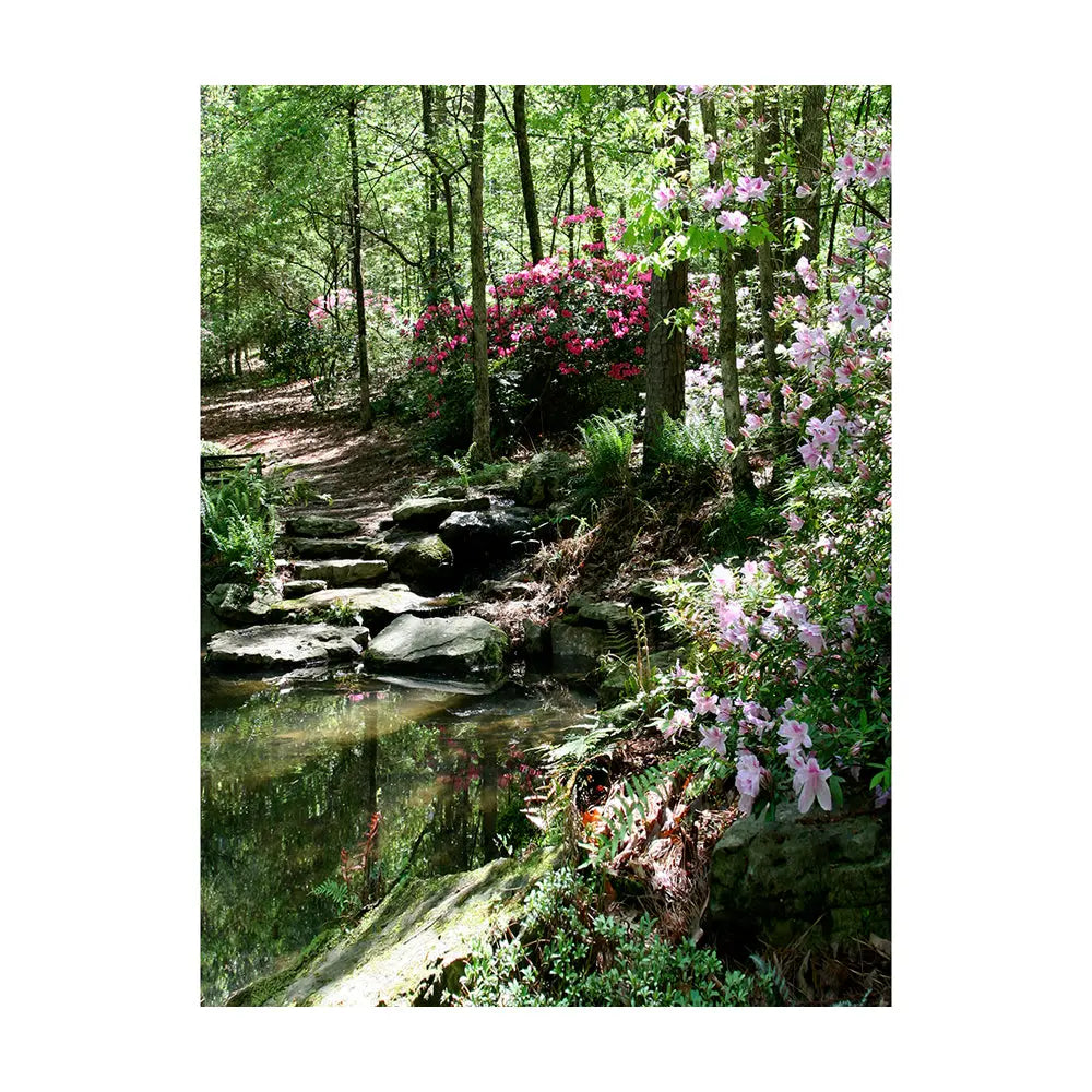 Azalea Pond Studio Backdrop, Background Alba Backgrounds