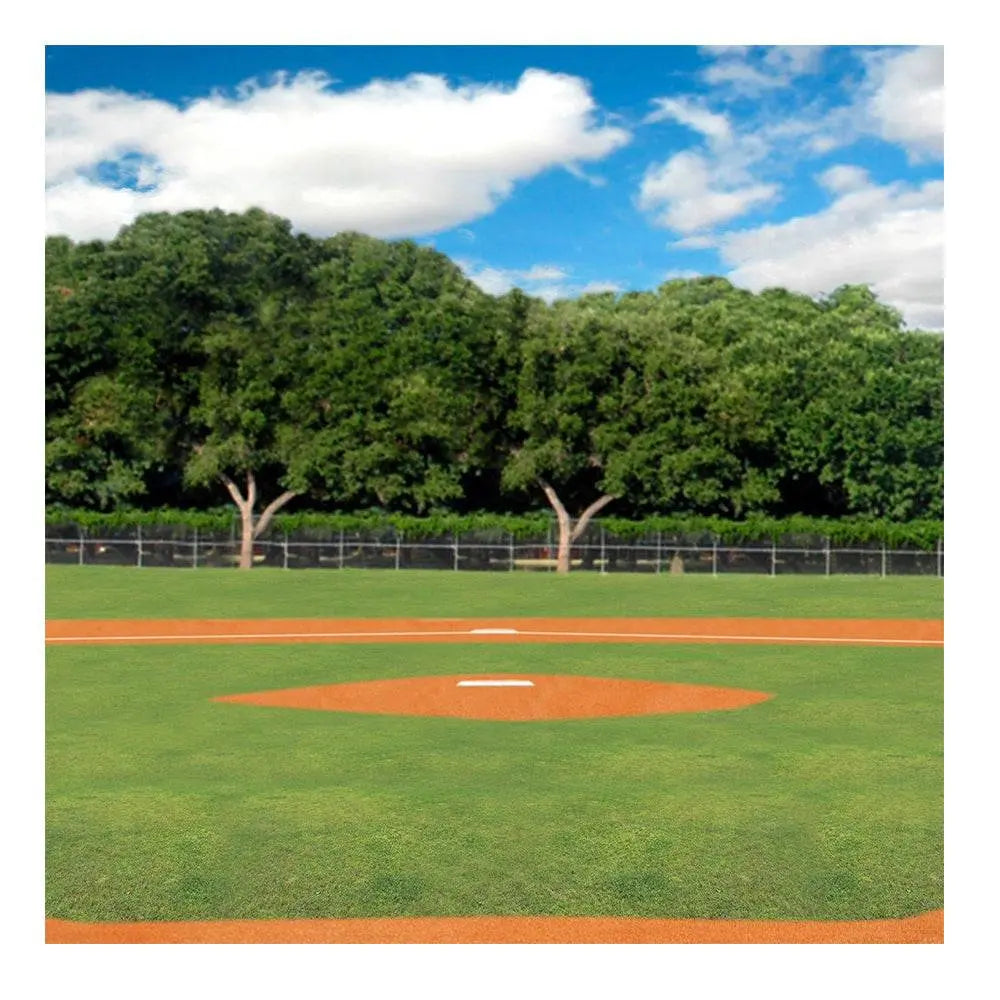 Home Plate Baseball Daytime Photo Backdrop - Basic 8 x 8