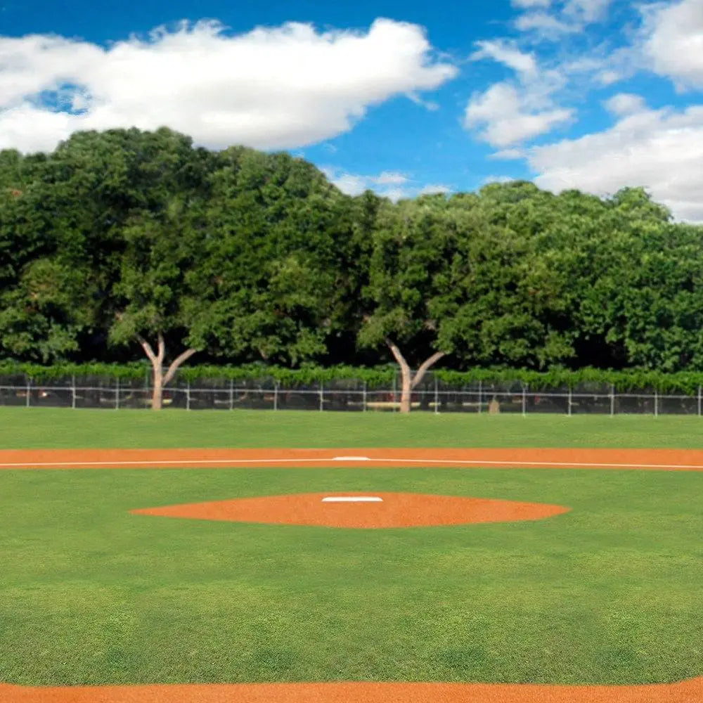 Home Plate Baseball Daytime Photo Backdrop - Pro 10 x 10