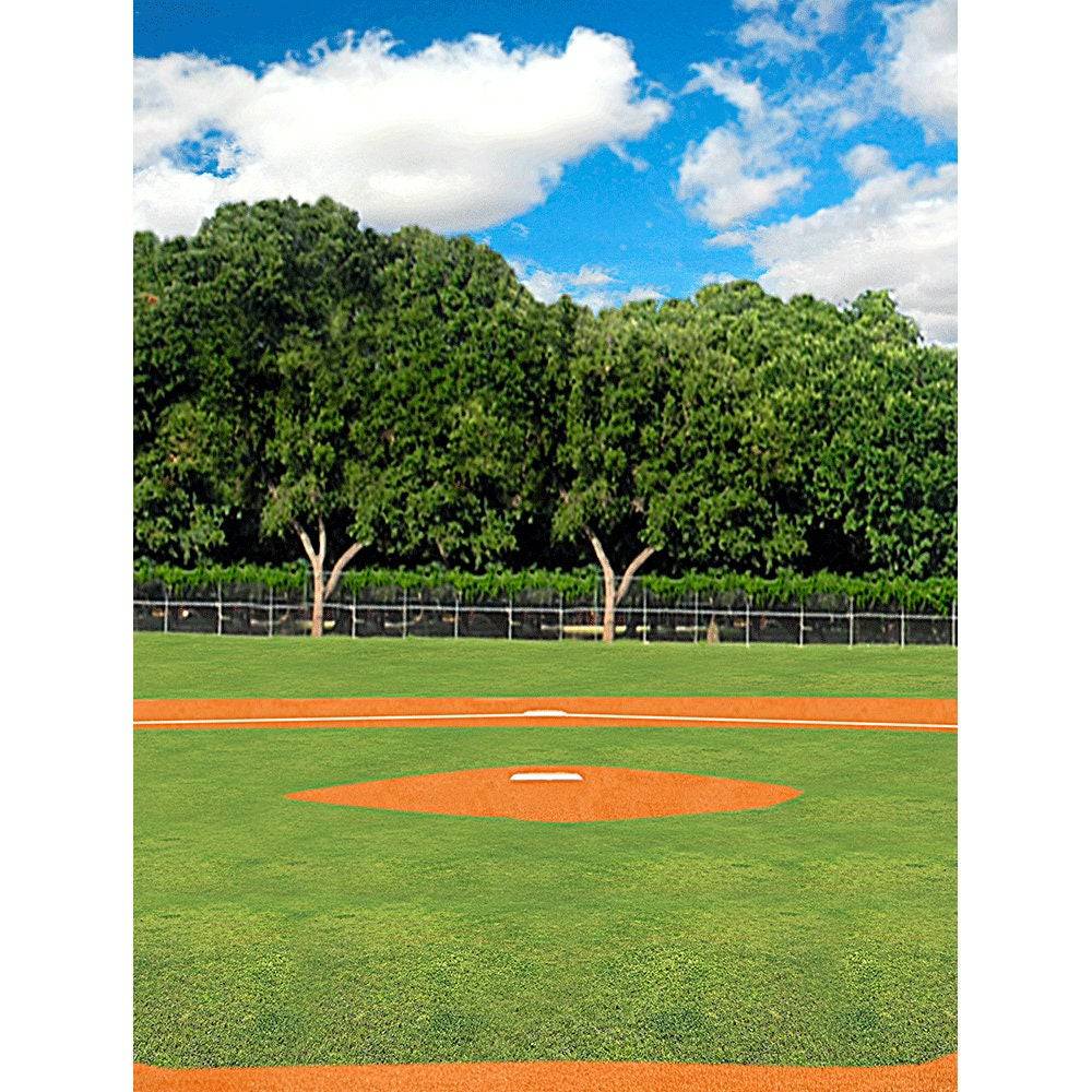 Home Plate Baseball Daytime Photo Backdrop - Pro 8 x 10