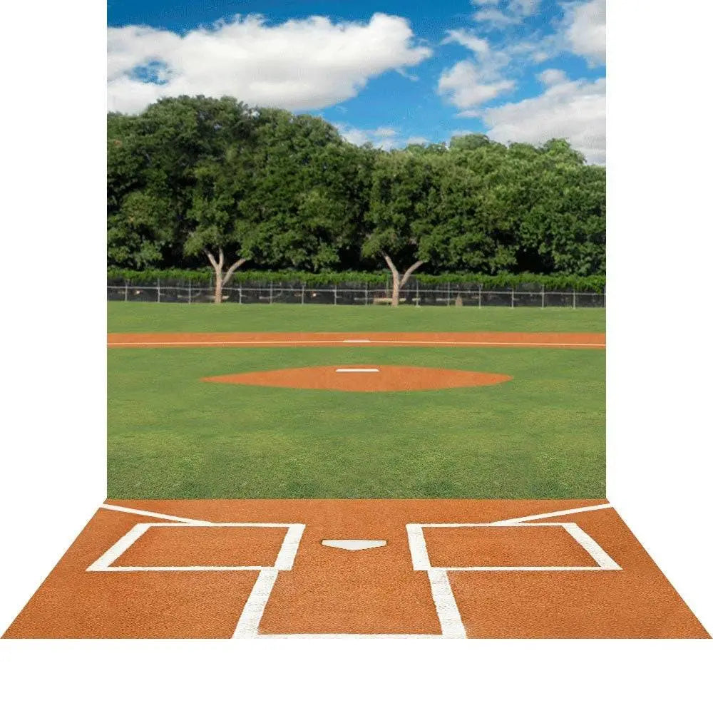 Home Plate Baseball Daytime Photo Backdrop - Pro 9 x 16