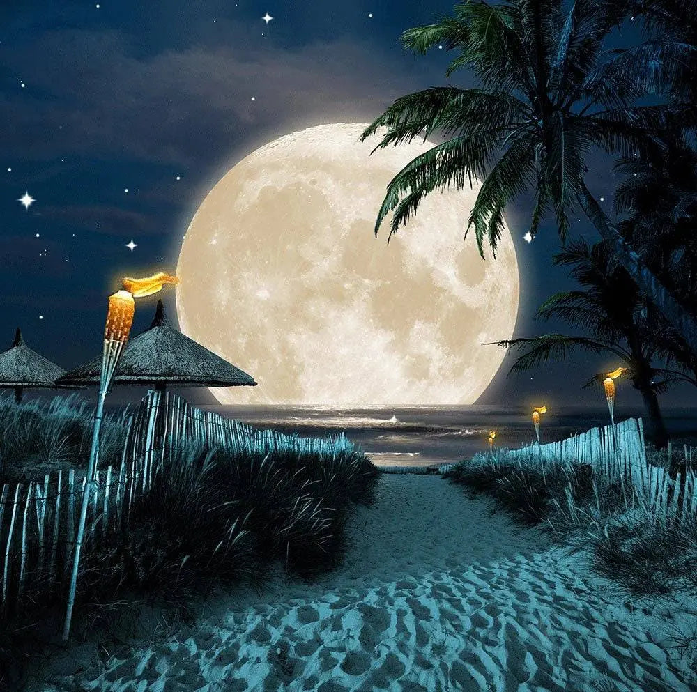 Night Time Full Moon Beach Luau Photo Backdrop - Pro 10  x 10