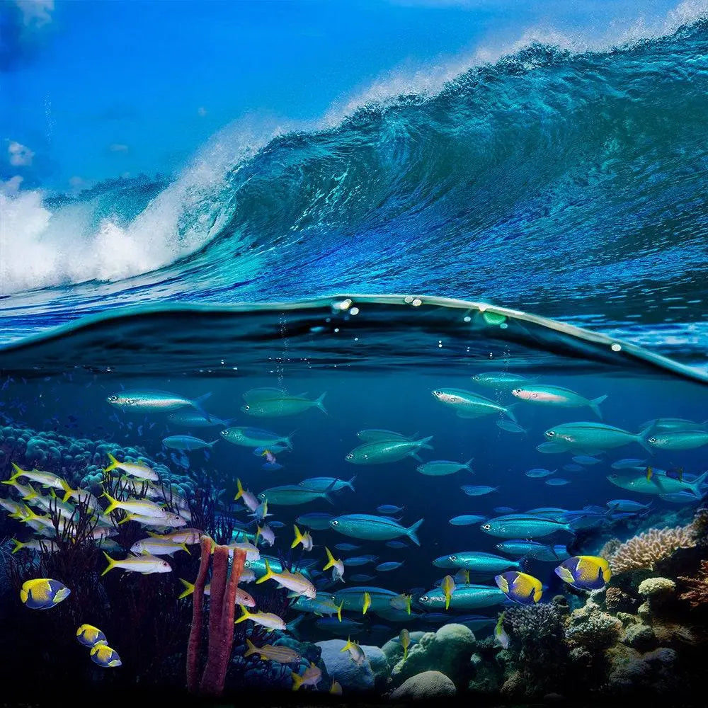 Fish Under The Sea Photo Backdrop - Pro 10  x 8