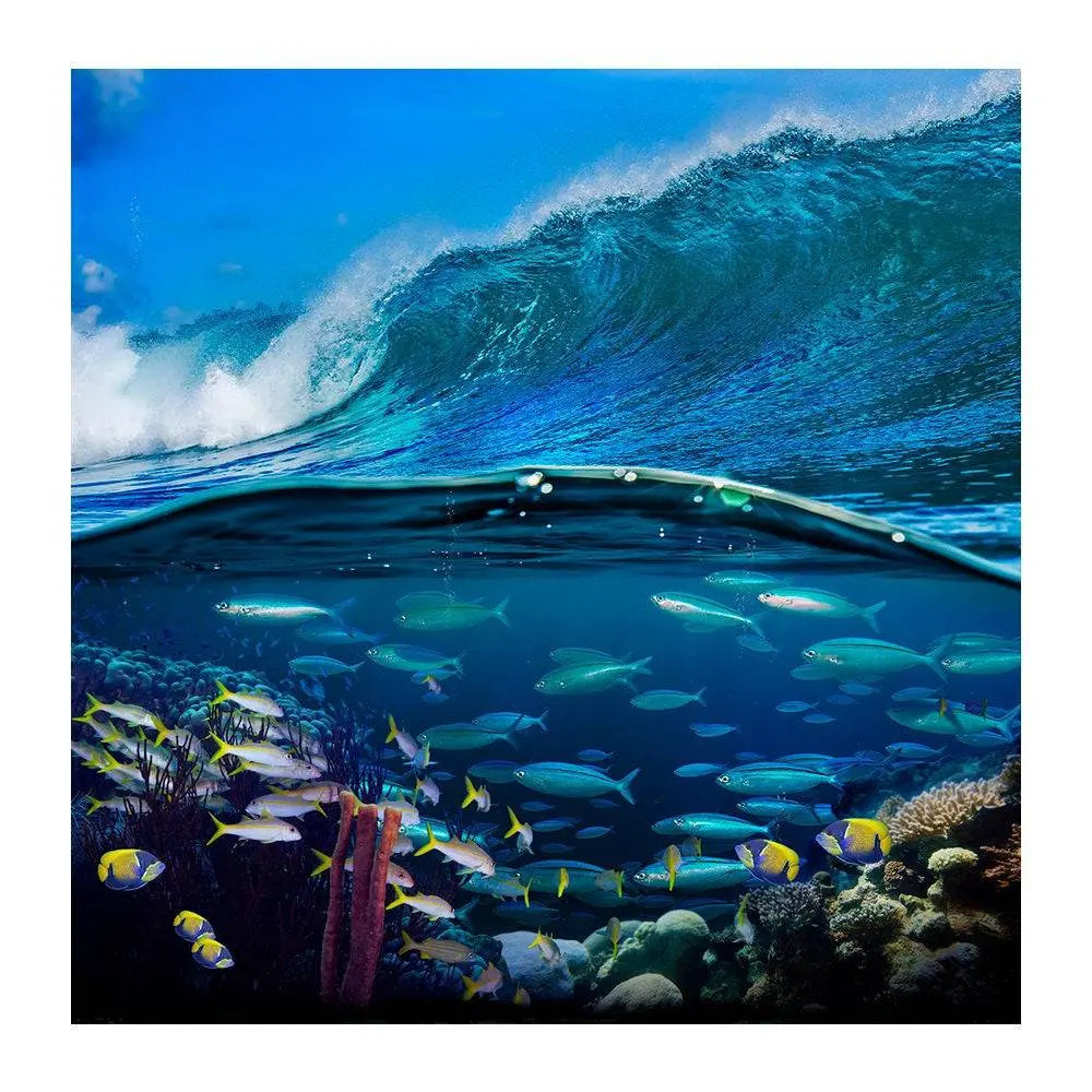 Fish Under The Sea Photo Backdrop - Pro 8  x 8