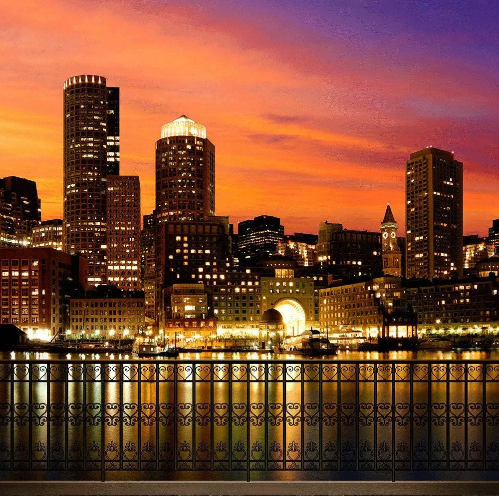 Boston City Skyline Photography Backdrop - Basic 10  x 8