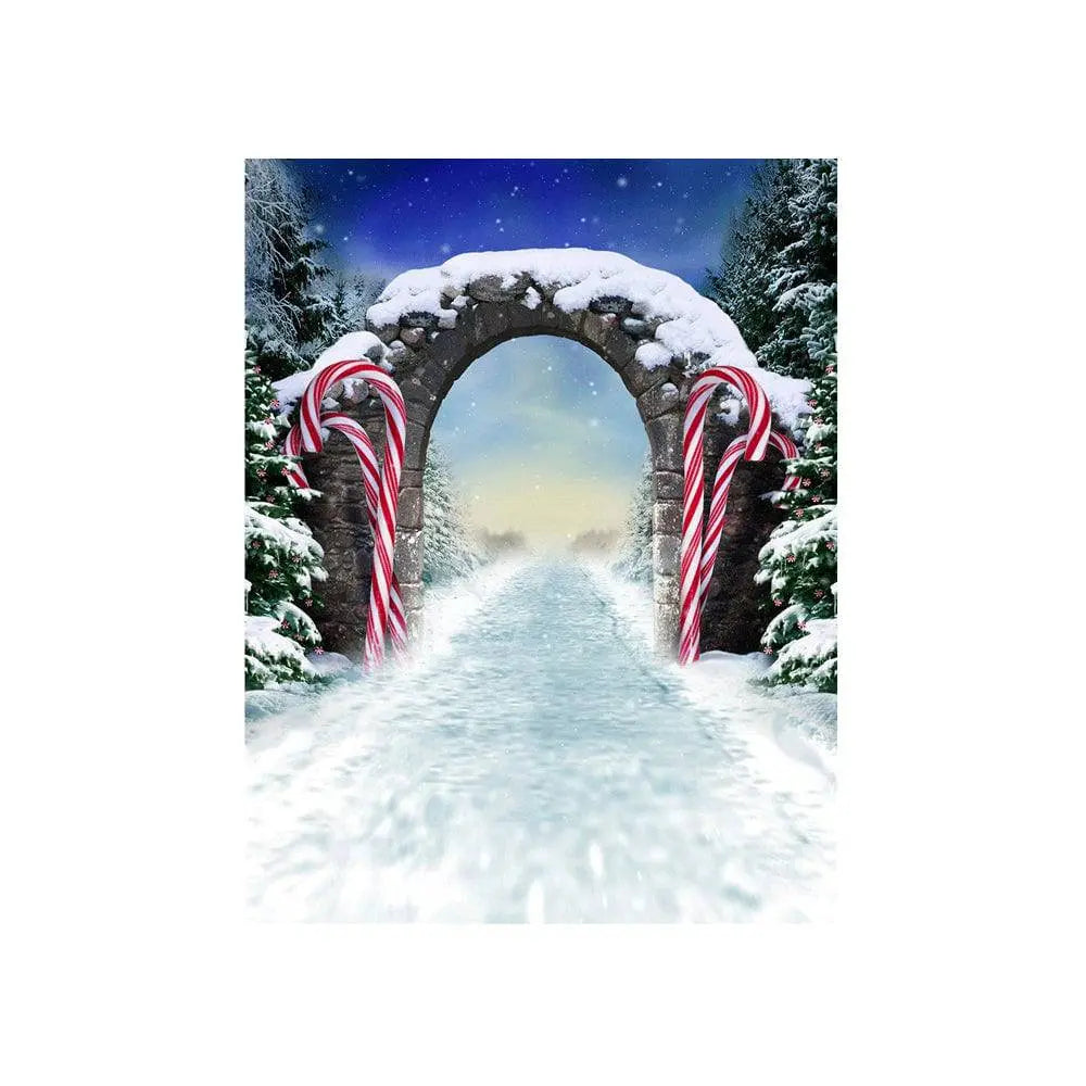 Winter Fantasy Candy Cane Archway Photo Backdrop - Basic 4.4  x 5