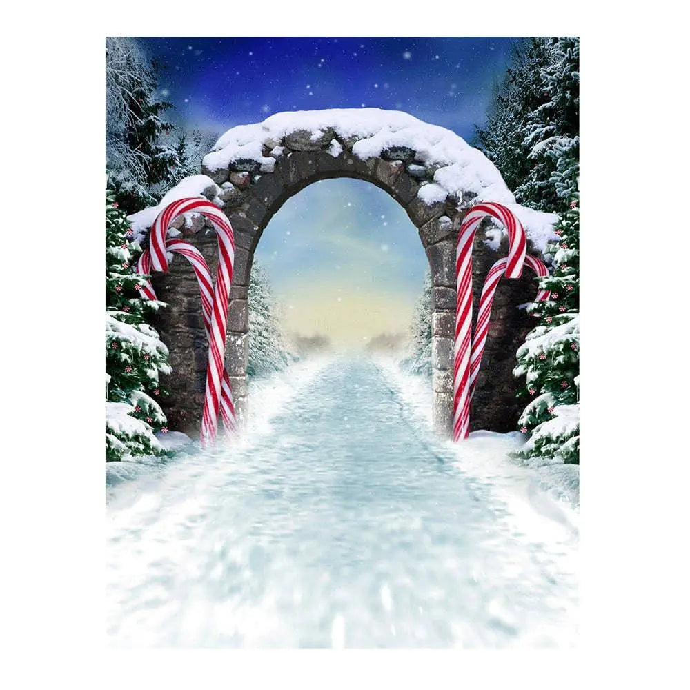 Winter Fantasy Candy Cane Archway Photo Backdrop - Basic 6  x 8
