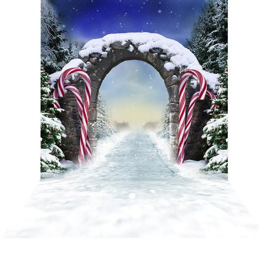 Winter Fantasy Candy Cane Archway Photo Backdrop - Basic 8  x 16