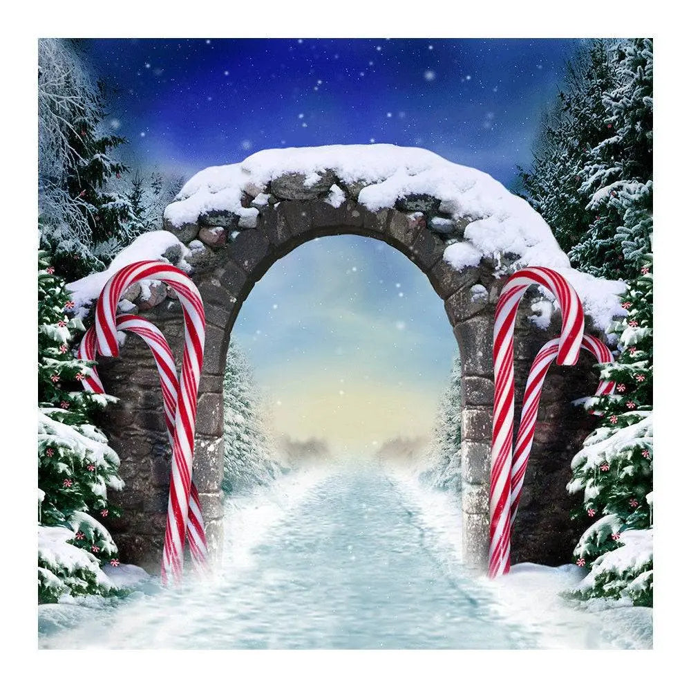 Winter Fantasy Candy Cane Archway Photo Backdrop - Pro 8  x 8