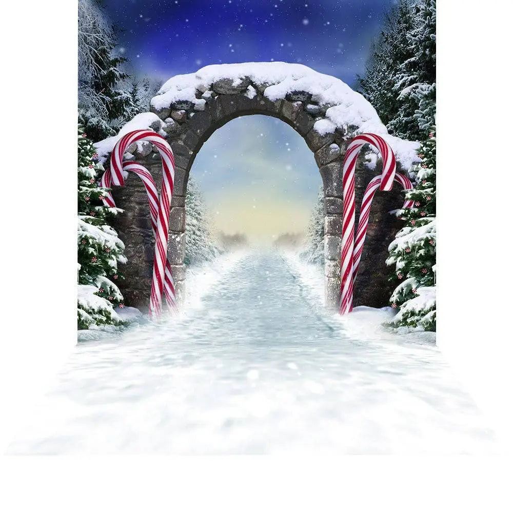 Winter Fantasy Candy Cane Archway Photo Backdrop - Pro 9  x 16