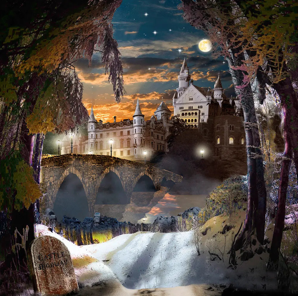 Winter Castle Highway Photography Backdrop