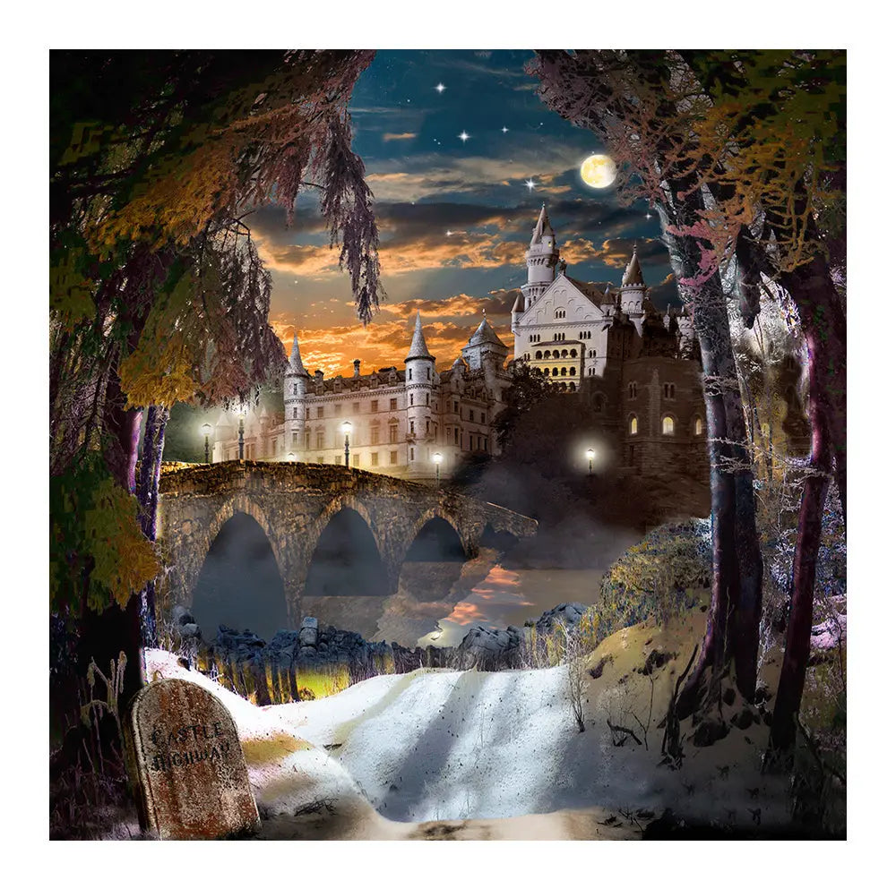 Winter Castle Highway Photography Backdrop