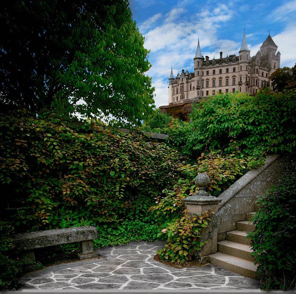 Castle Steps Photo Backdrop - Basic 10  x 8