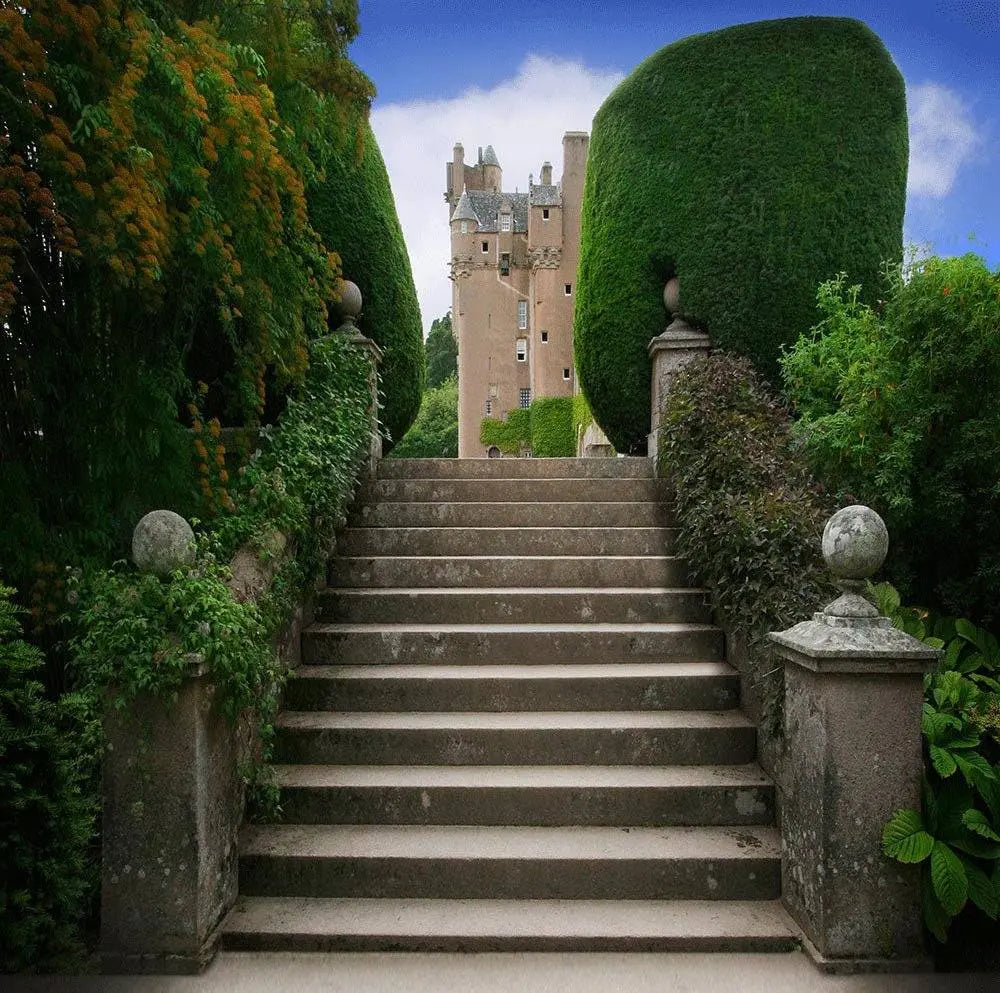 Steps to the Kingdom Castle - Pro 10 x 10