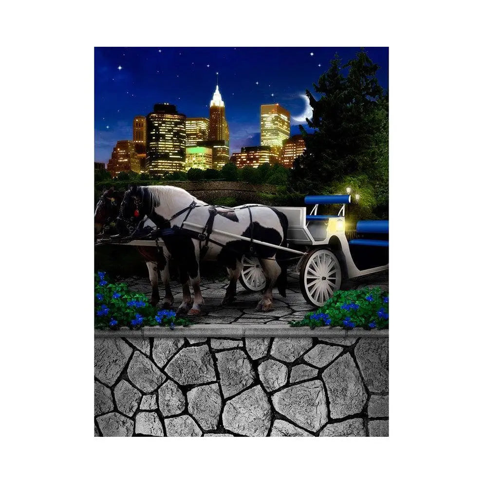Central Park Carriage Photo Backdrop - Basic 5.5 x 6.5