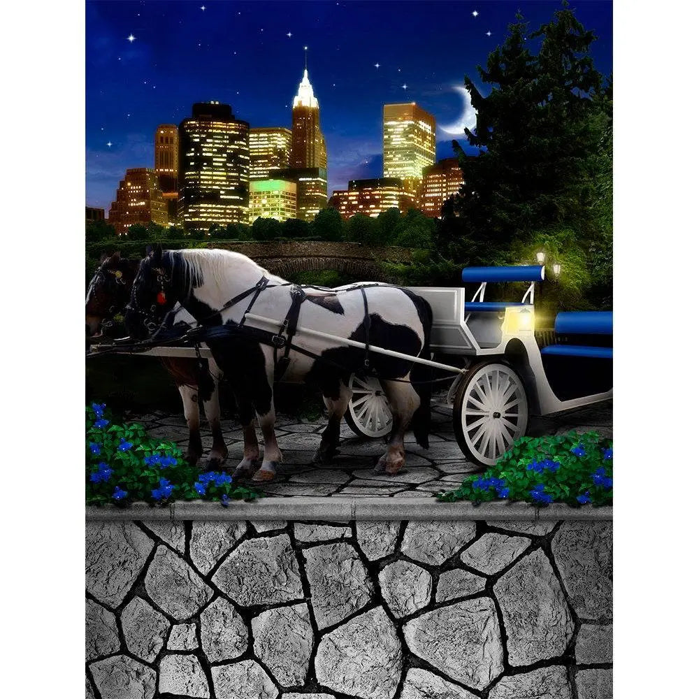 Central Park Carriage Photo Backdrop - Basic 8 x 10
