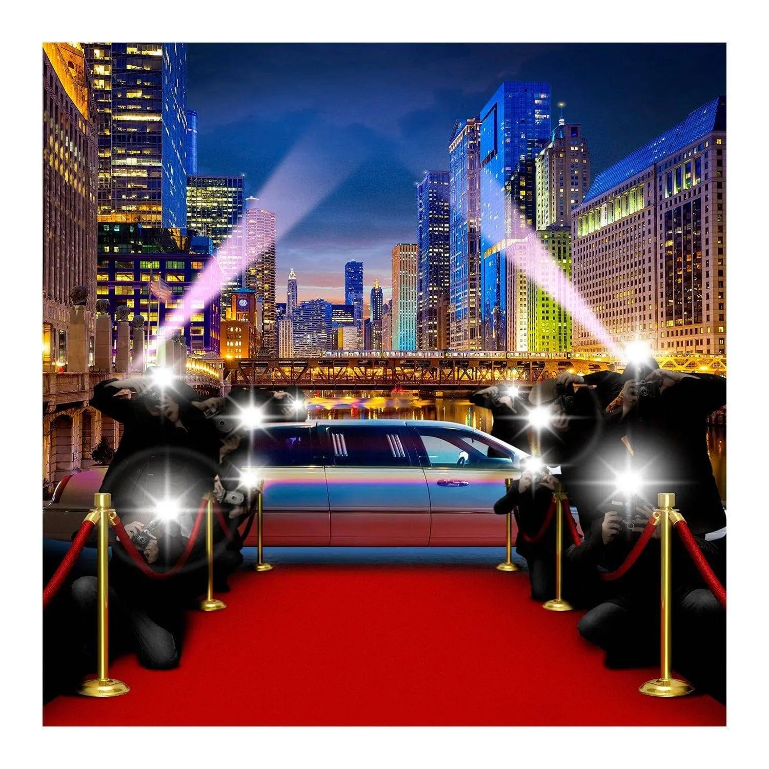 Chicago Red Carpet Paparazzi Photography Backdrop - Pro 10  x 10
