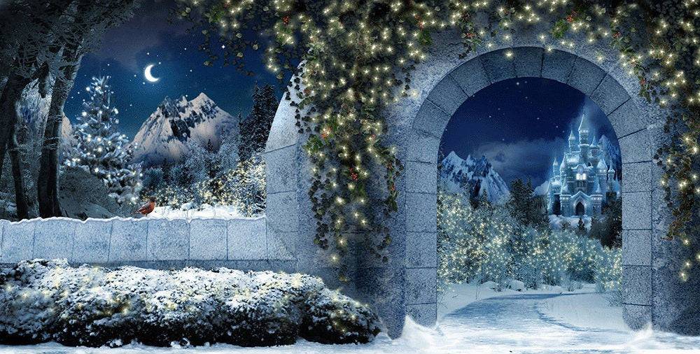 Magical Christmas Kingdom Photo Backdrop - Pro 20 x 10