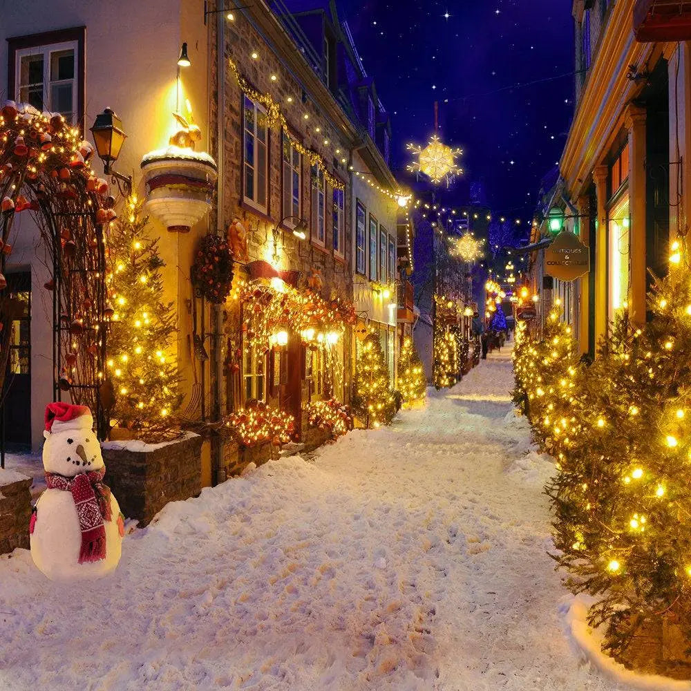 Christmas Village Reindeer Photography Backdrop - Pro 10 x 10