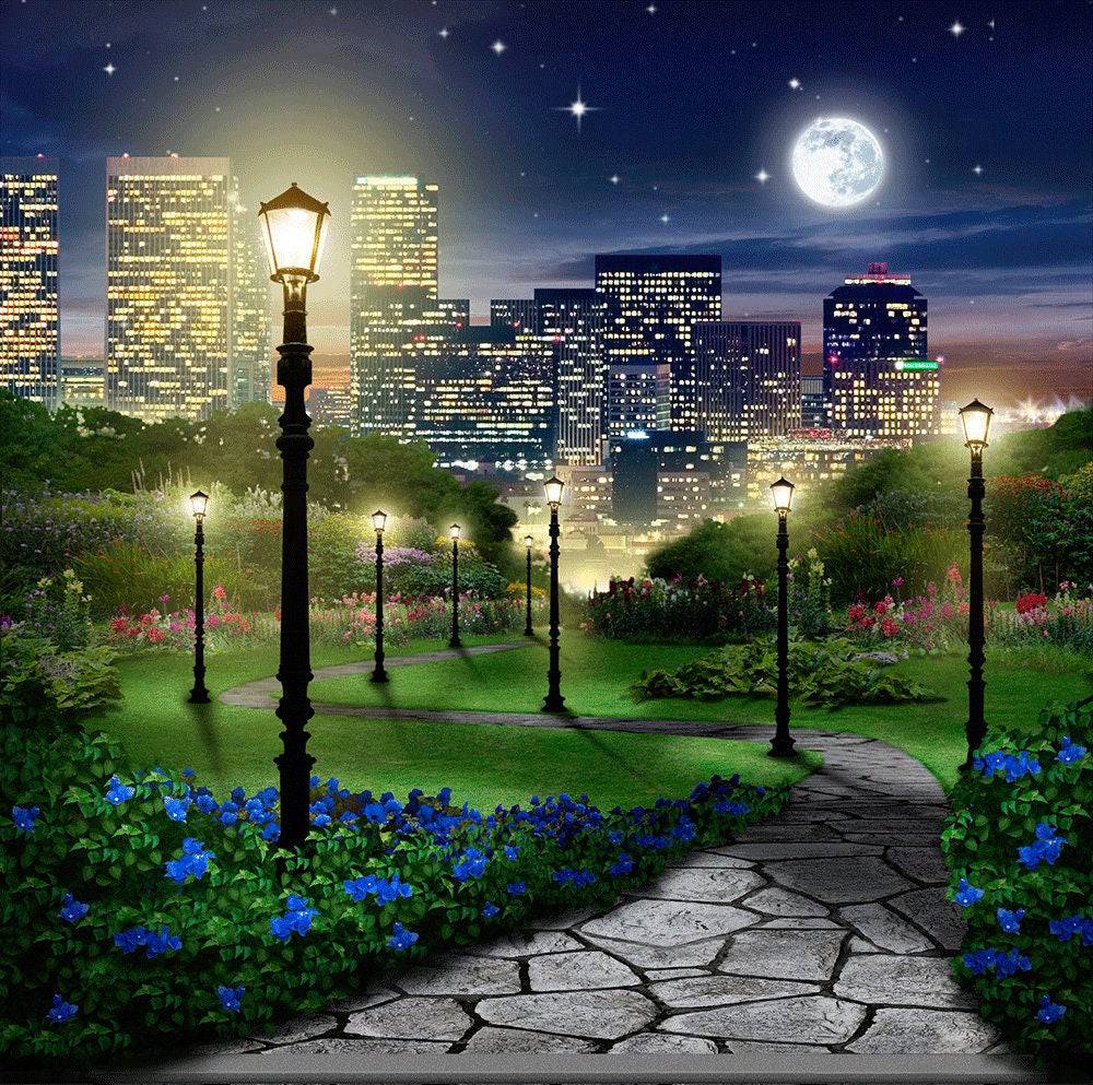 Central Park At Night Photography Backdrop - Basic 10 x 8