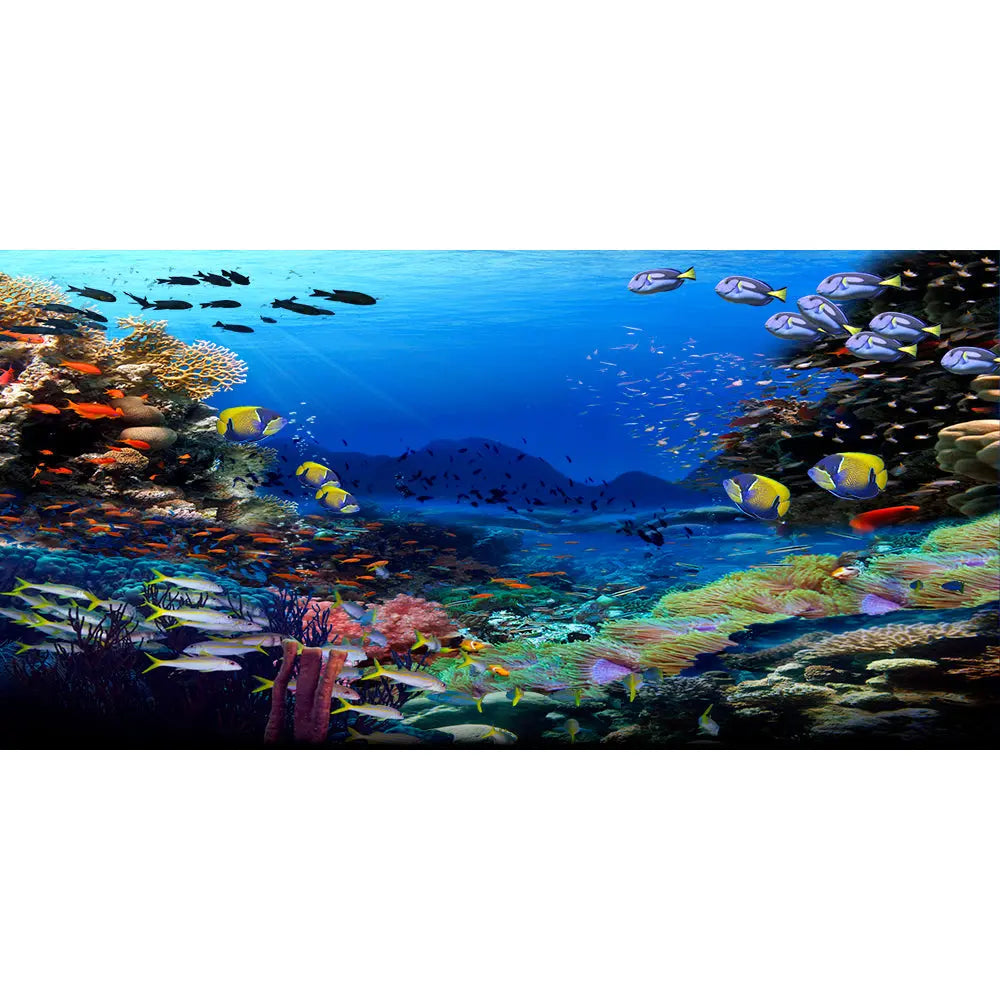 Under The Sea Photography Backdrop