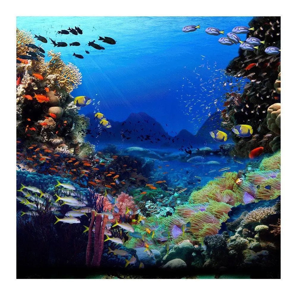 Under The Sea Photography Backdrop - Basic 8  x 8