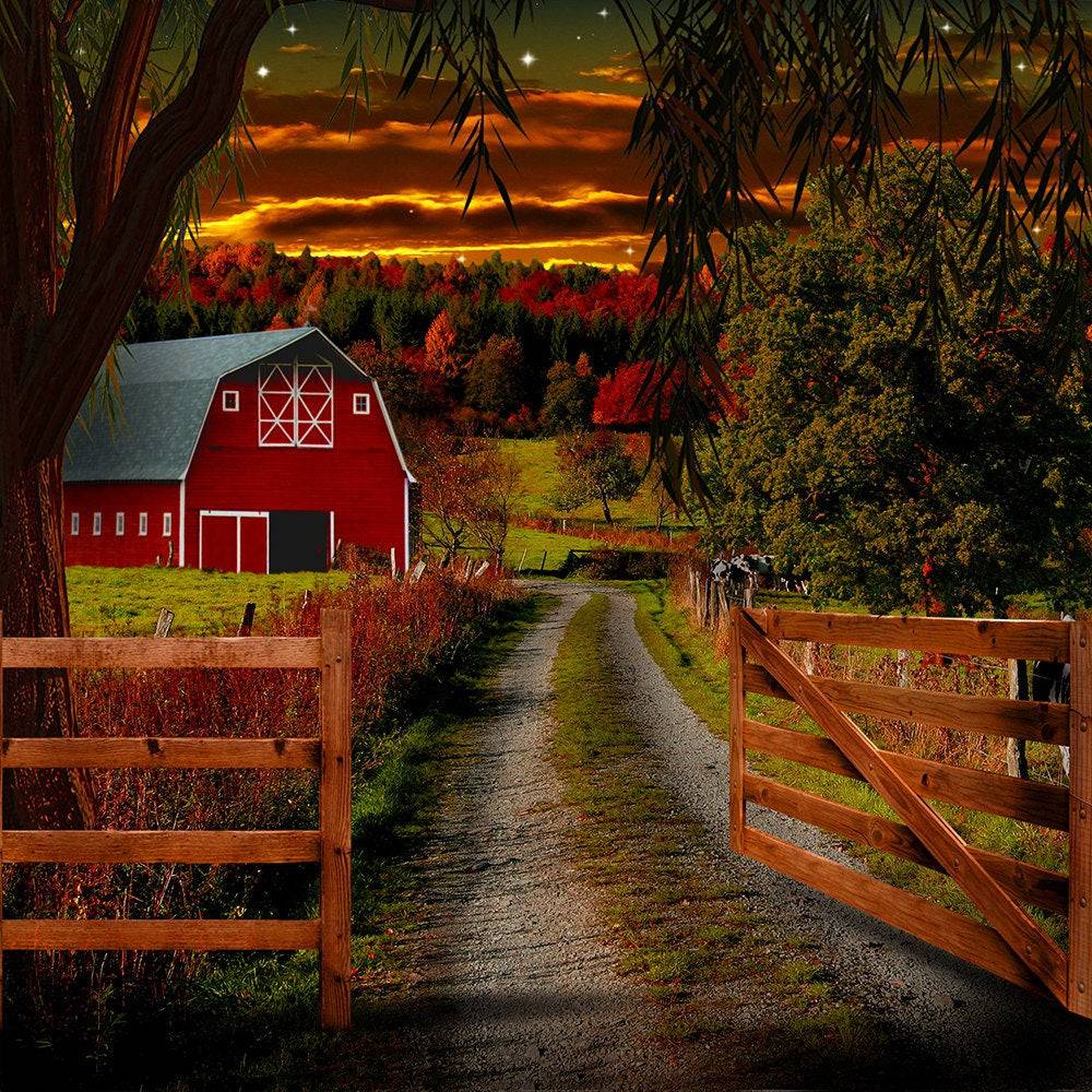 Country Barn Road Photography Backdrop - Basic 10 x 8