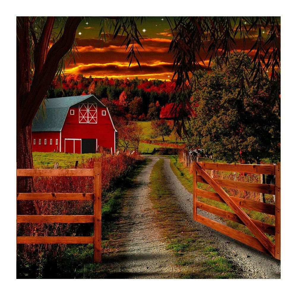 Country Barn Road Photography Backdrop - Basic 8 x 8