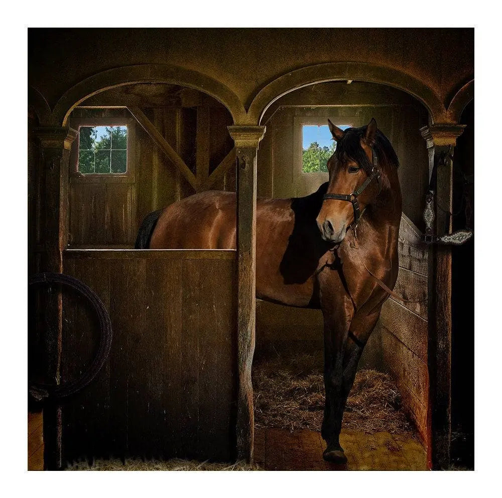 Horse In Stall Photography Backdrop - Basic 10  x 8