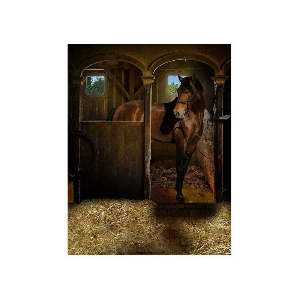 Horse In Stall Photography Backdrop - Basic 4.4  x 5