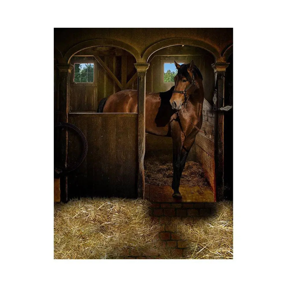 Horse In Stall Photography Backdrop - Basic 5.5  x 6.5