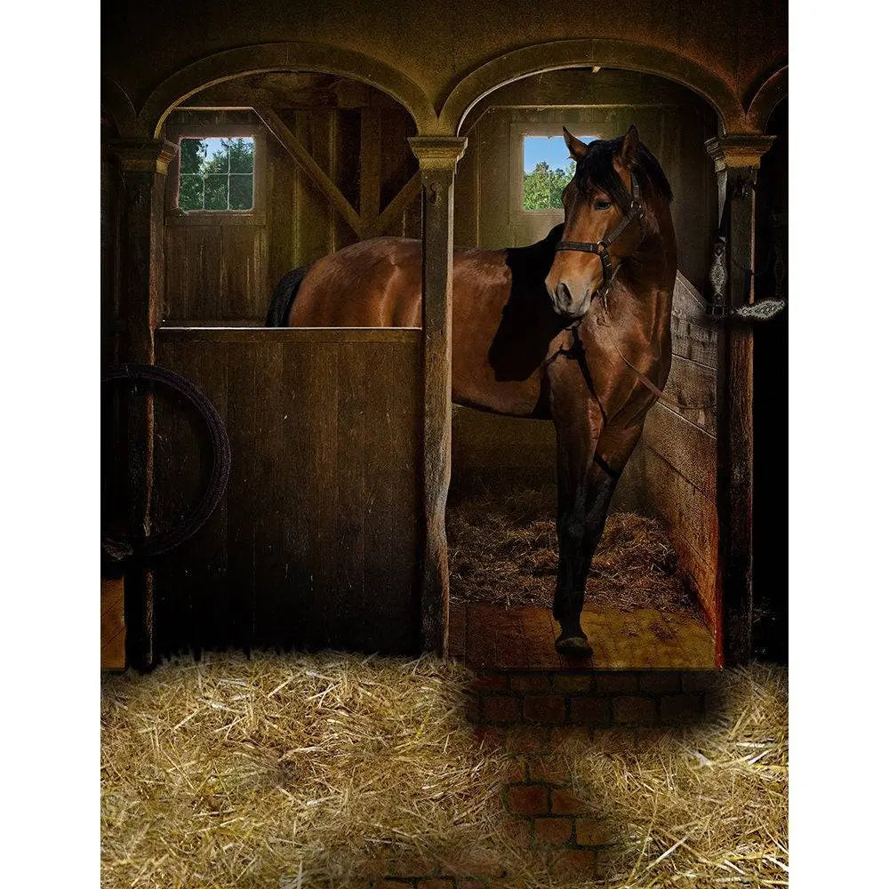 Horse In Stall Photography Backdrop - Basic 8  x 10