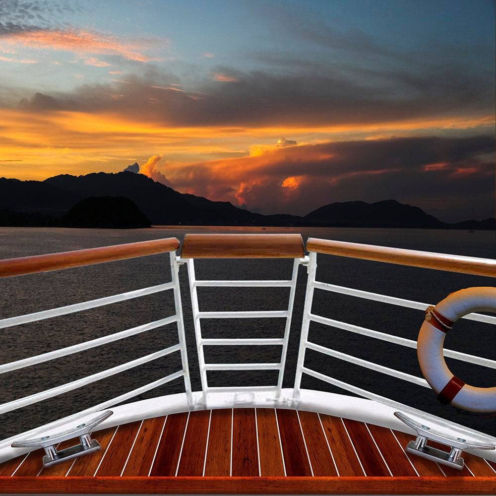 Sunset Cruise Ship Photo Backdrop - Pro 10 x 10