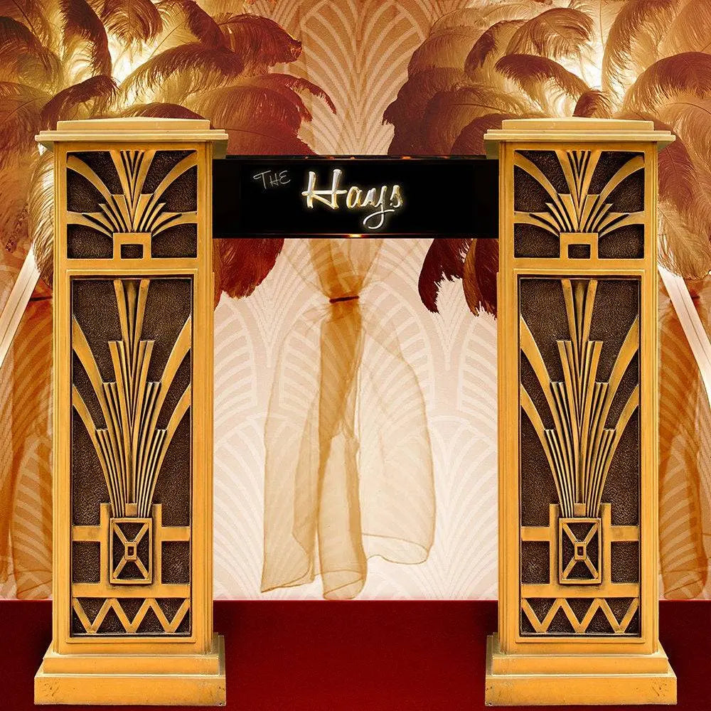 Custom Occasion Photo Backdrop - Pro 10  x 10