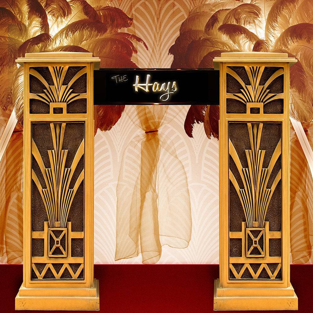 Custom Occasion Photo Backdrop - Pro 10 x 8