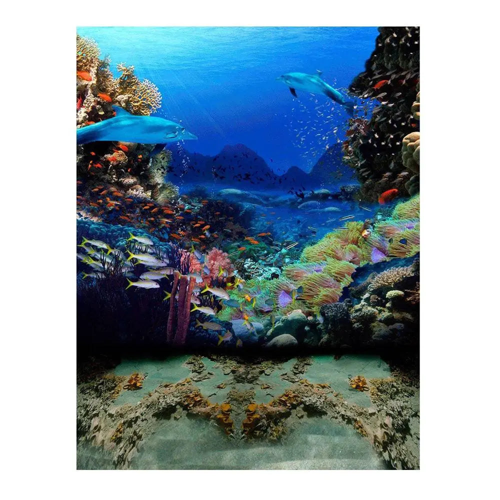 Dolphin Coral Reef Photo Backdrop - Basic 6 x 8