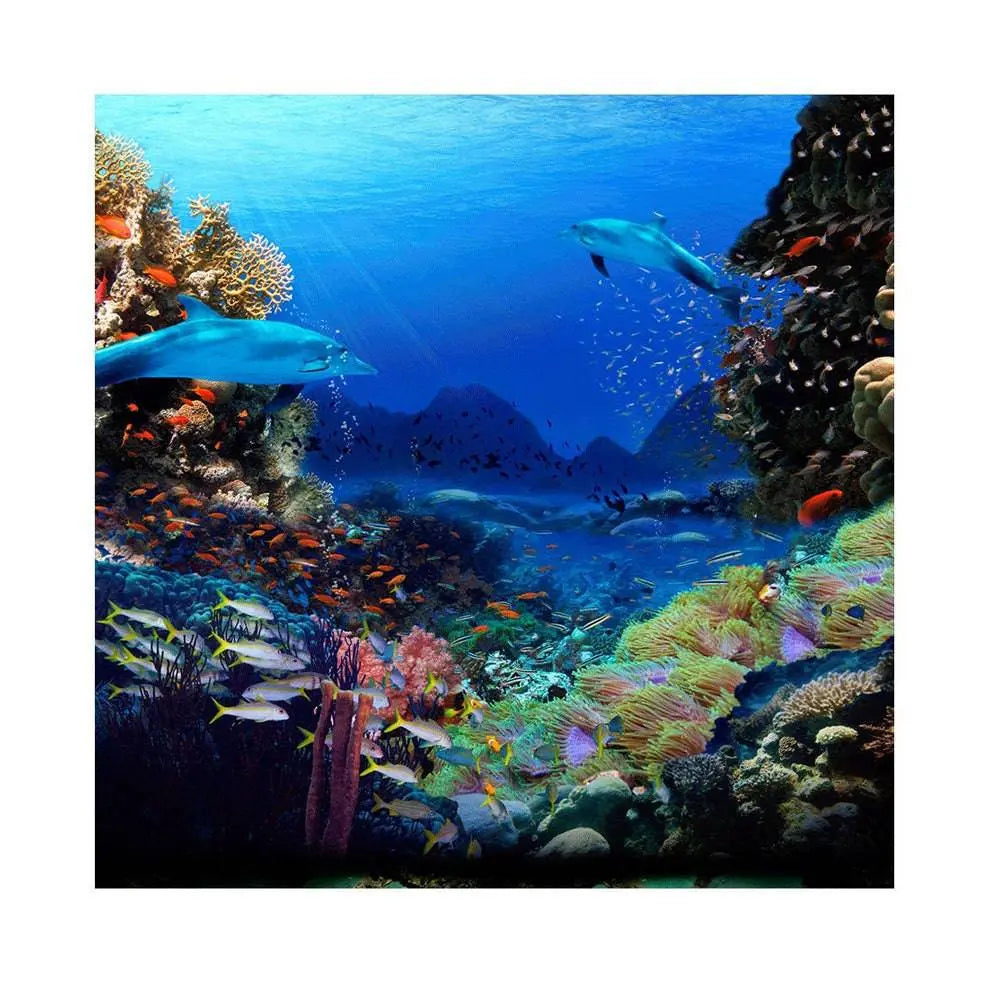 Dolphin Coral Reef Photo Backdrop - Basic 8 x 8