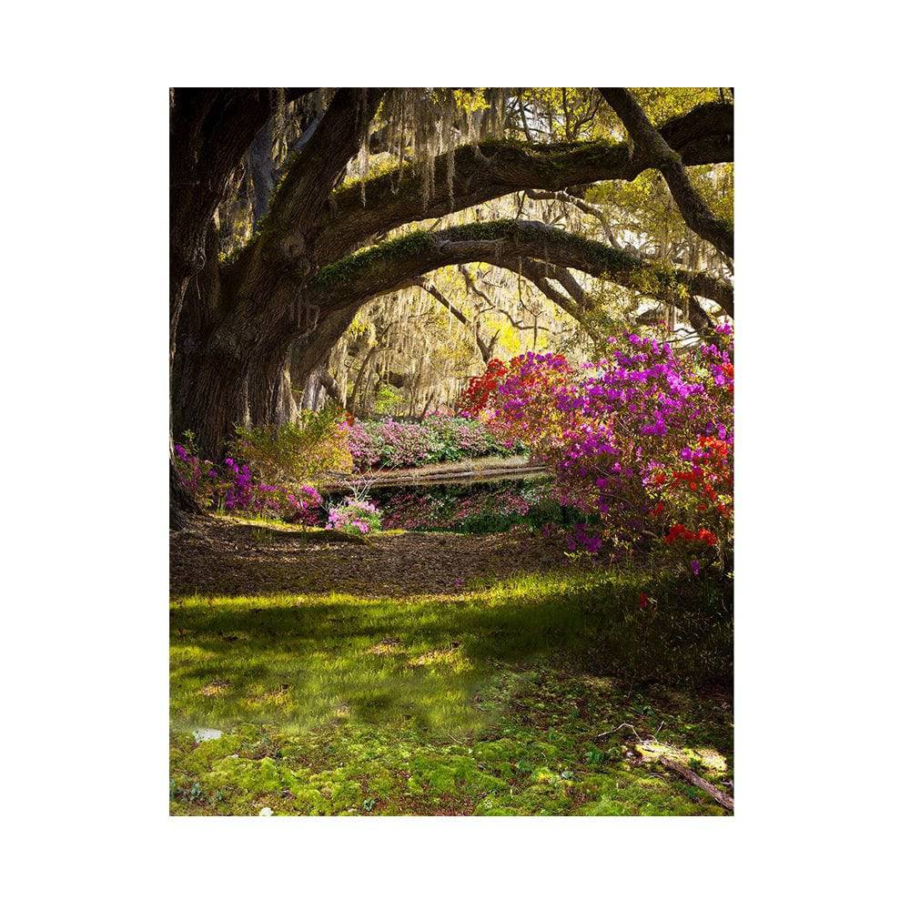 high school prom or homecoming dance - Basic 5.5 x 6.5