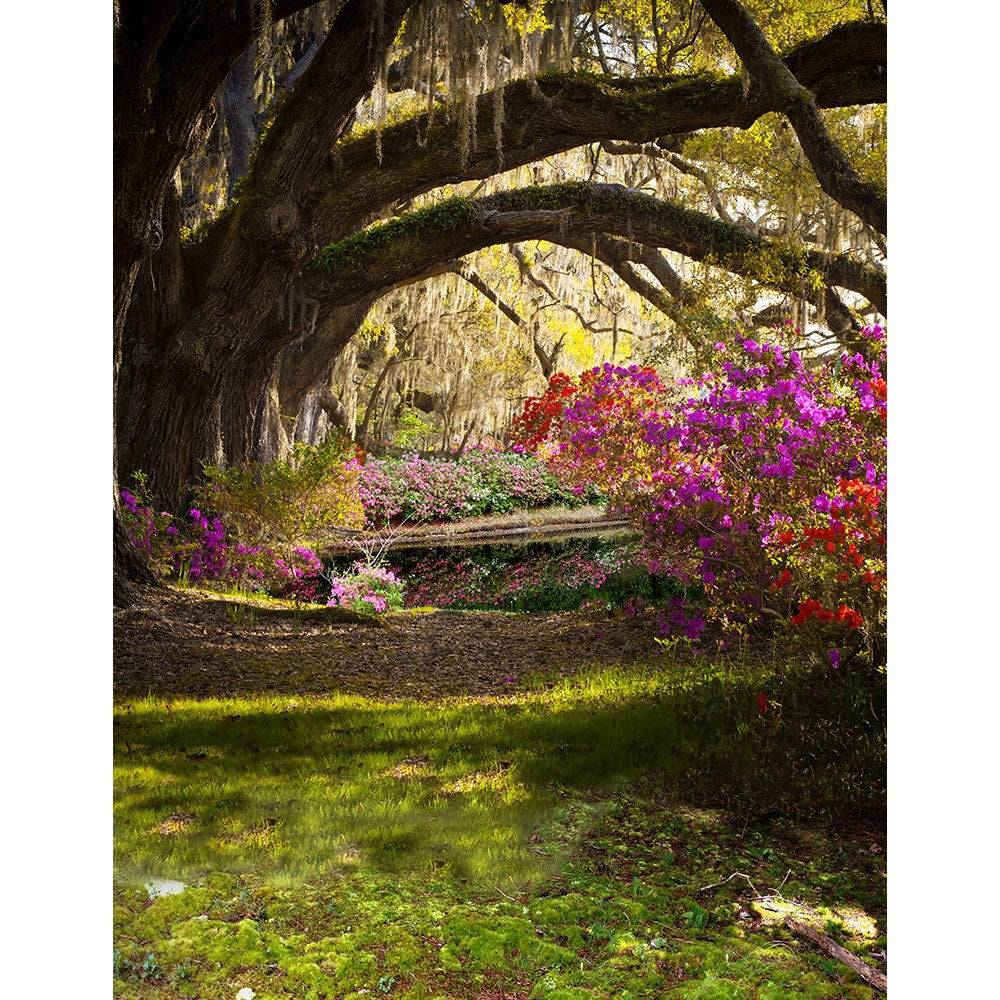 Wild Azalea Garden Photography Background - Basic 8 x 10