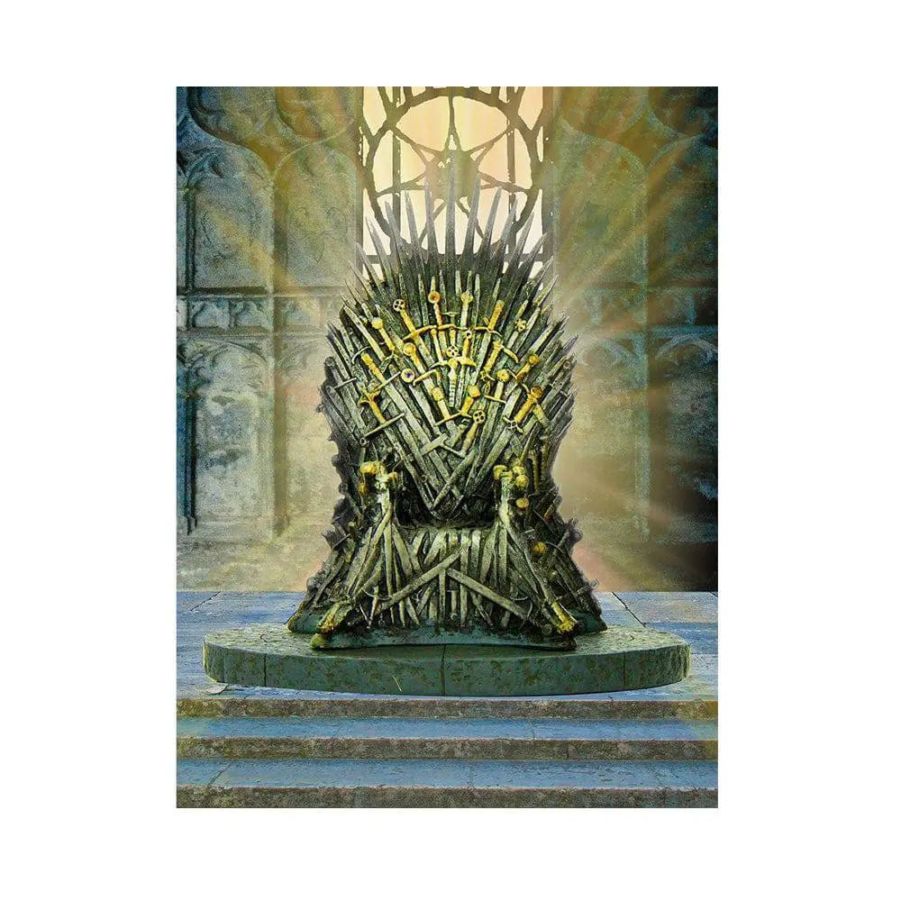 Stone Castle Interior Photo Backdrop - Basic 5.5 x 6.5