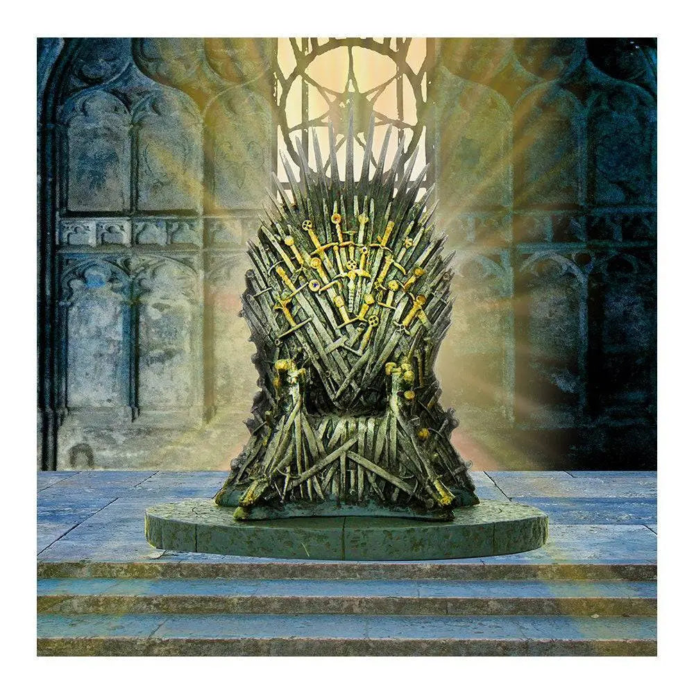 Stone Castle Interior Photo Backdrop - Basic 8 x 8