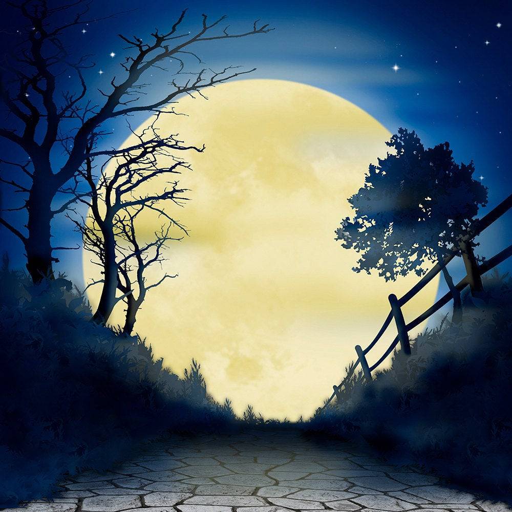 Halloween Moon Hocus Pocus Photo Backdrop - Basic 10 x 8