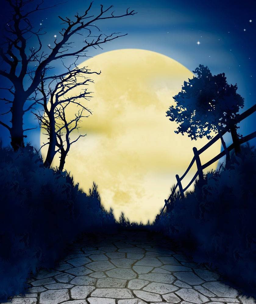 Halloween Moon Hocus Pocus Photo Backdrop - Basic 8 x 10