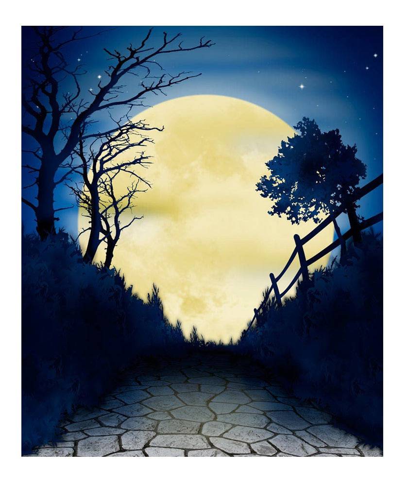 Halloween Moon Hocus Pocus Photo Backdrop - Pro 6 x 8