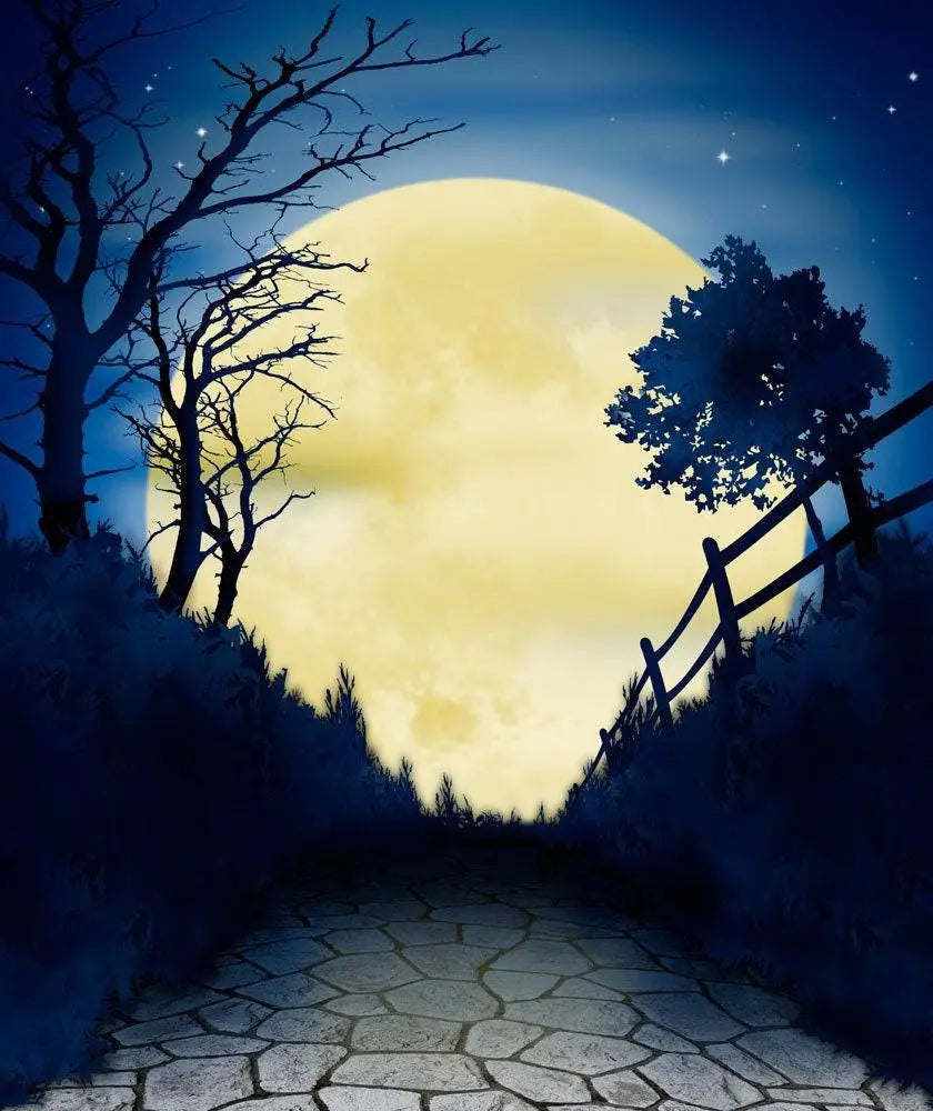 Halloween Moon Hocus Pocus Photo Backdrop - Pro 8  x 10